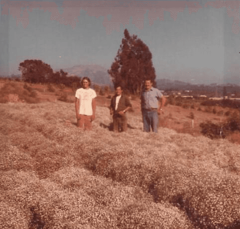 Members of the Welty family standing on Welty Ranch in Carpinteria, California during the ranch’s early years.